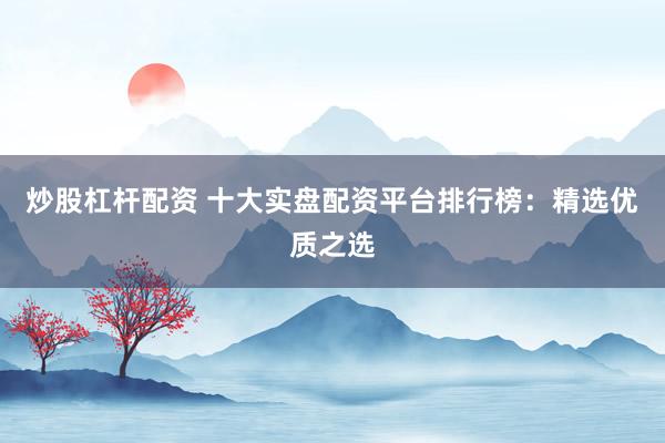 炒股杠杆配资 十大实盘配资平台排行榜：精选优质之选