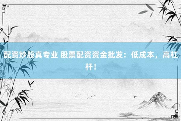 配资炒股真专业 股票配资资金批发：低成本，高杠杆！